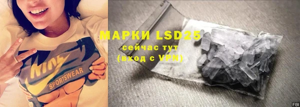 сатива Зеленокумск