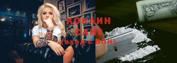 сатива Зеленокумск