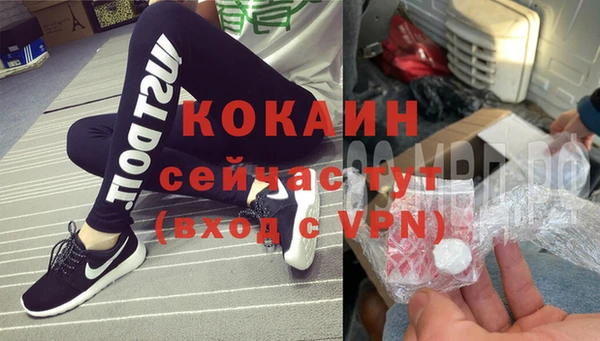 сатива Зеленокумск