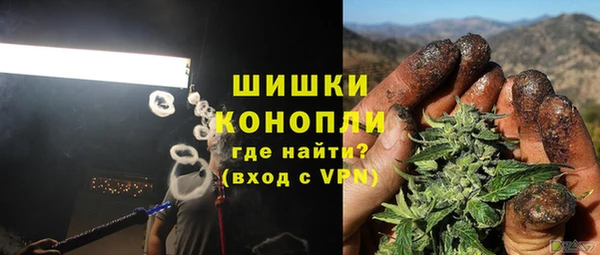сатива Зеленокумск